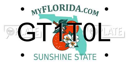 GT1T0L Florida License Plate