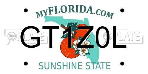 GT1Z0L Florida License Plate