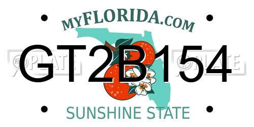 GT2B154 Florida License Plate