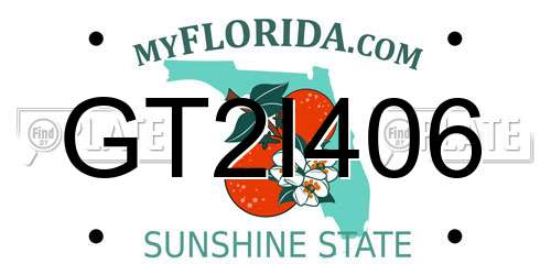 GT2I406 Florida License Plate