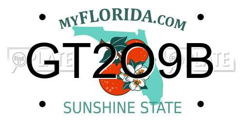 GT2O9B Florida License Plate