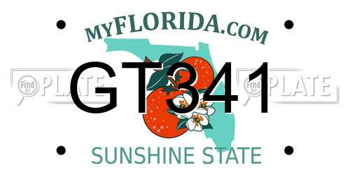 GT341 Florida License Plate