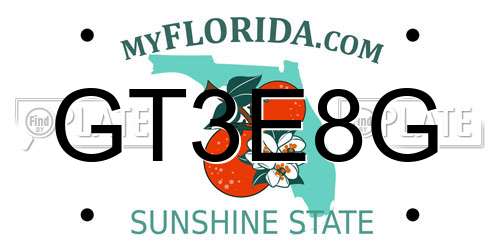 GT3E8G Florida License Plate