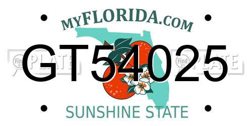 GT54025 Florida License Plate