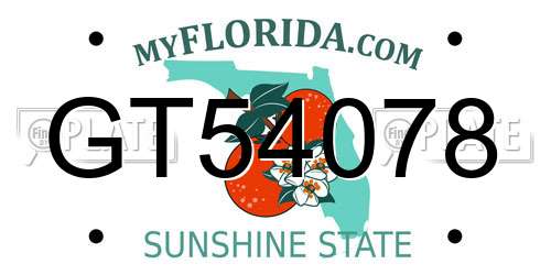 GT54078 Florida License Plate