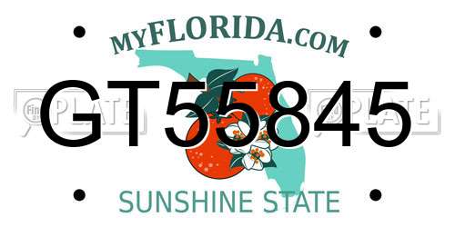 GT55845 Florida License Plate