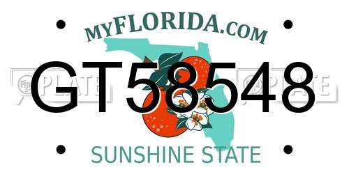 GT58548 Florida License Plate
