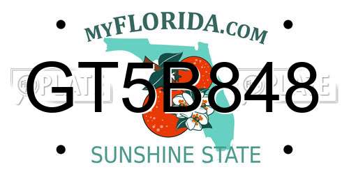 GT5B848 Florida License Plate