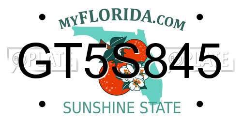 GT5S845 Florida License Plate
