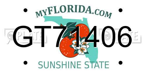 GT71406 Florida License Plate