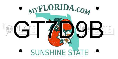 GT7D9B Florida License Plate