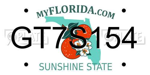 GT7S154 Florida License Plate