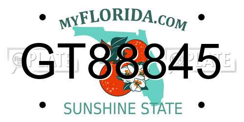 GT88845 Florida License Plate