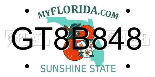 GT8B848 Florida License Plate