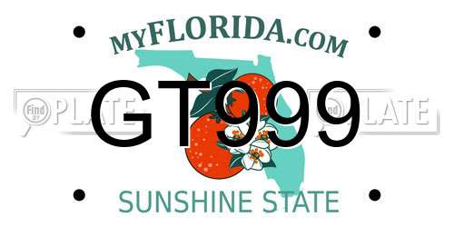 GT999 Florida License Plate