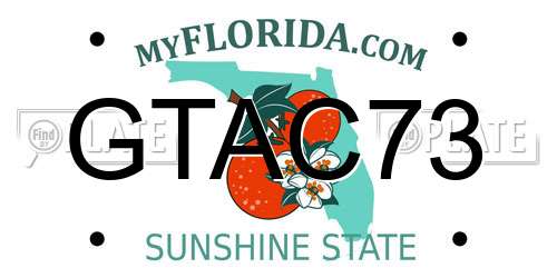 GTAC73 Florida License Plate
