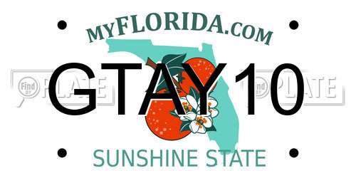 GTAY10 Florida License Plate
