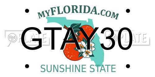 GTAY30 Florida License Plate