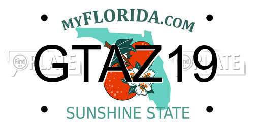GTAZ19 Florida License Plate