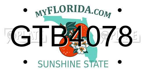 GTB4078 Florida License Plate