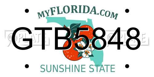 GTB5848 Florida License Plate