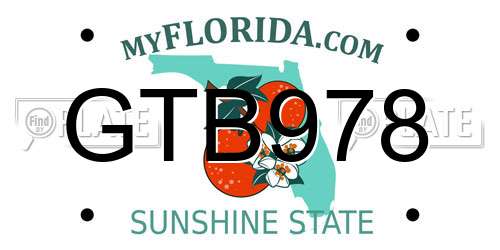 GTB978 Florida License Plate