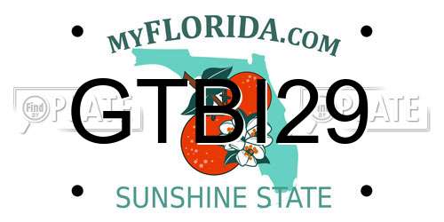 GTBI29 Florida License Plate