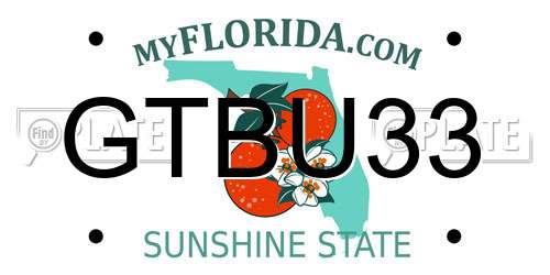 GTBU33 Florida License Plate