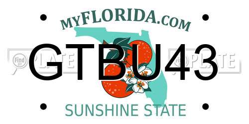 GTBU43 Florida License Plate