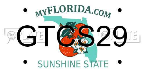 GTCS29 Florida License Plate
