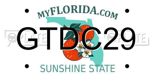 GTDC29 Florida License Plate