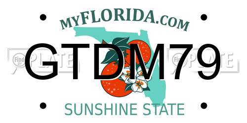 GTDM79 Florida License Plate
