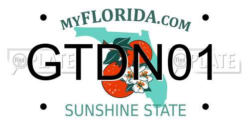 GTDN01 Florida License Plate