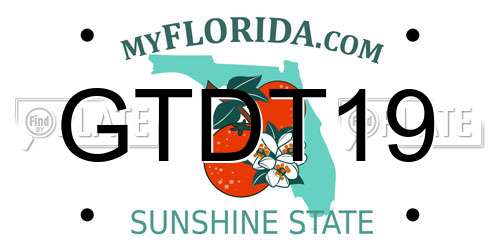 GTDT19 Florida License Plate