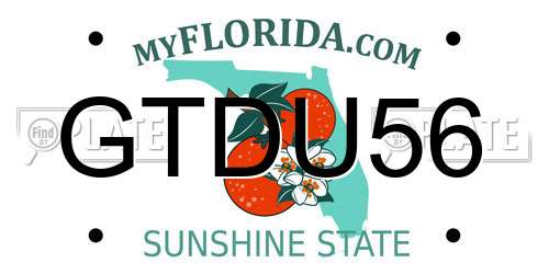 GTDU56 Florida License Plate