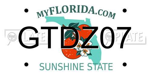 GTDZ07 Florida License Plate