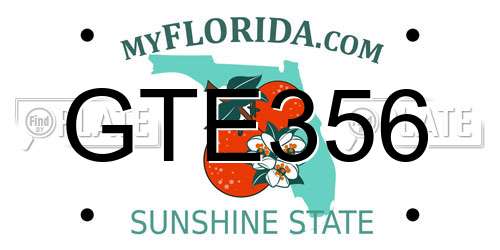 GTE356 Florida License Plate