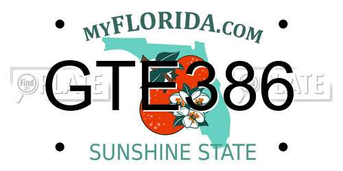 GTE386 Florida License Plate