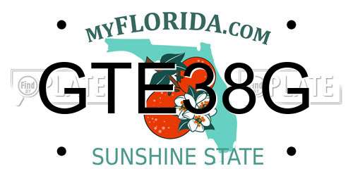 GTE38G Florida License Plate