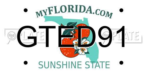 GTED91 Florida License Plate