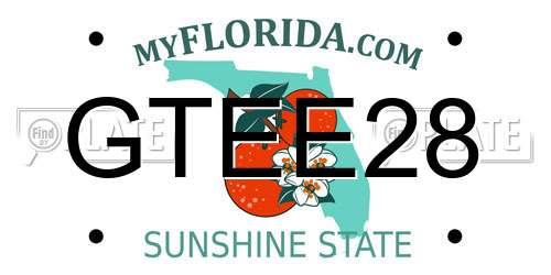 GTEE28 Florida License Plate