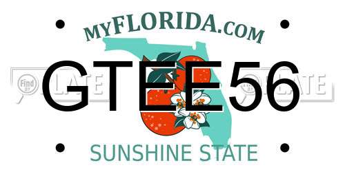 GTEE56 Florida License Plate