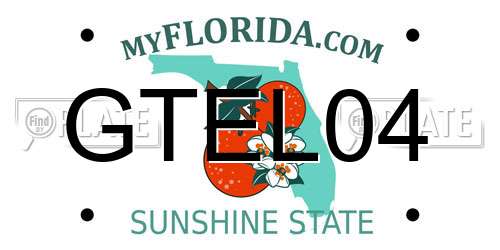 GTEL04 Florida License Plate