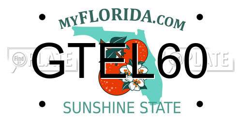 GTEL60 Florida License Plate