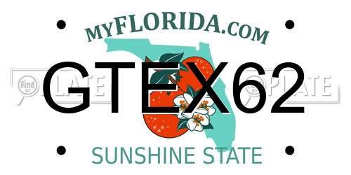 GTEX62 Florida License Plate