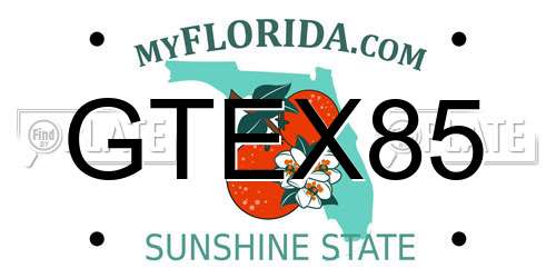 GTEX85 Florida License Plate
