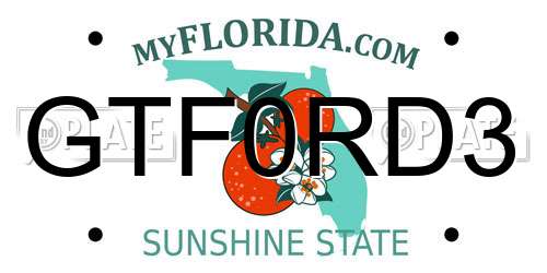 GTF0RD3 Florida License Plate