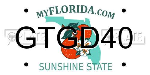 GTGD40 Florida License Plate