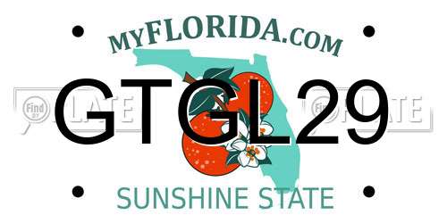 GTGL29 Florida License Plate