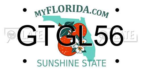 GTGL56 Florida License Plate
